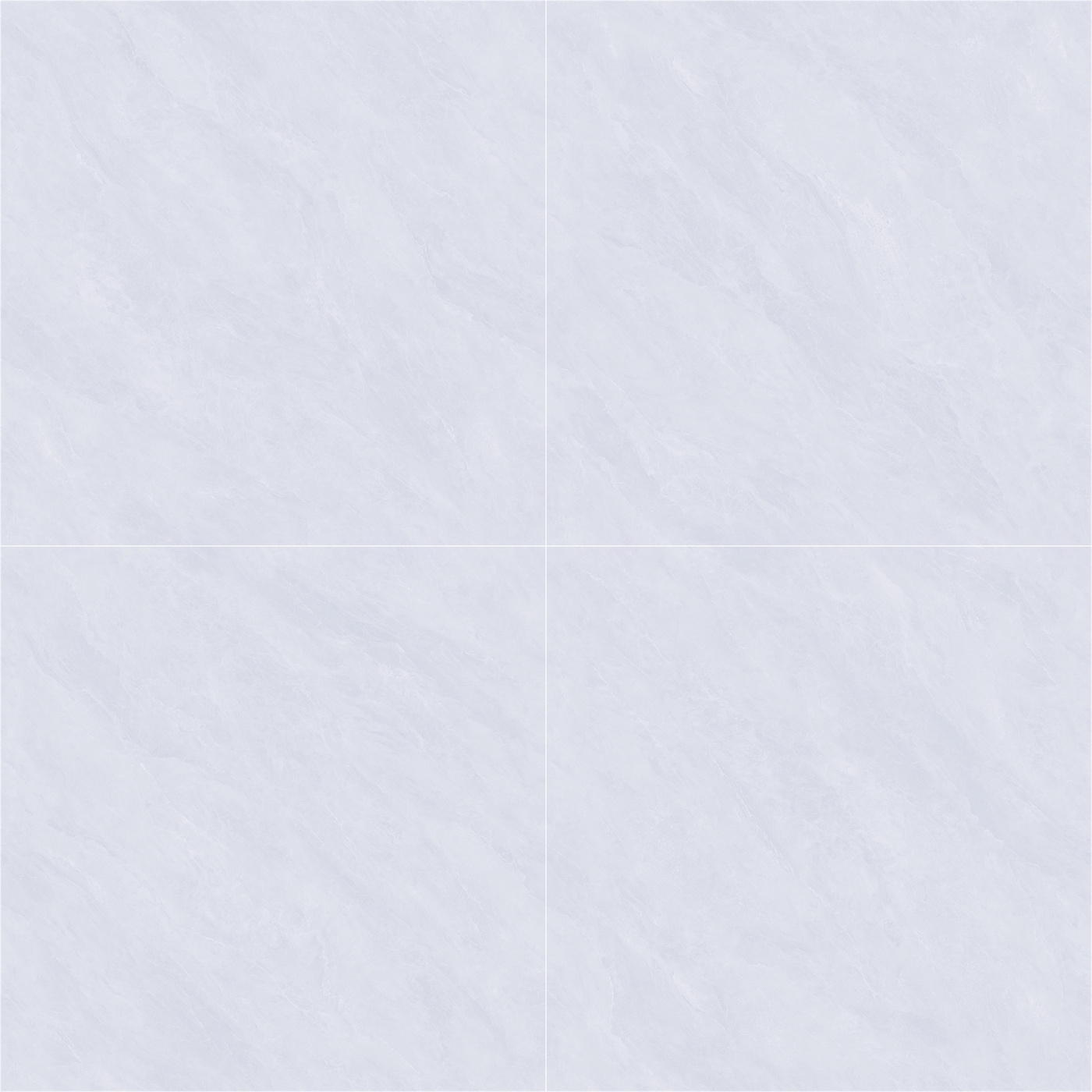 C8091.jpg